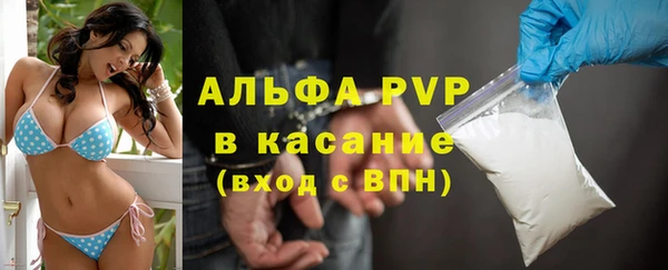 сатива Балахна