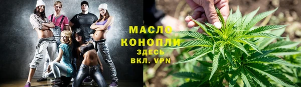 сатива Балахна
