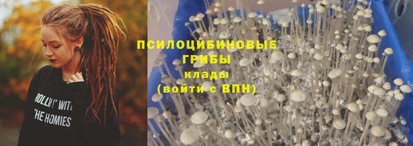 сатива Балахна